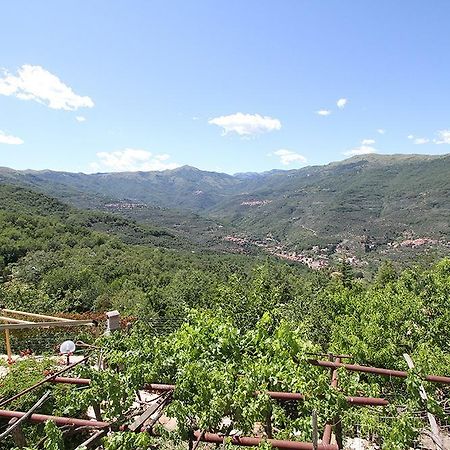 Agriturismo Nonni Devia Lucinasco エクステリア 写真