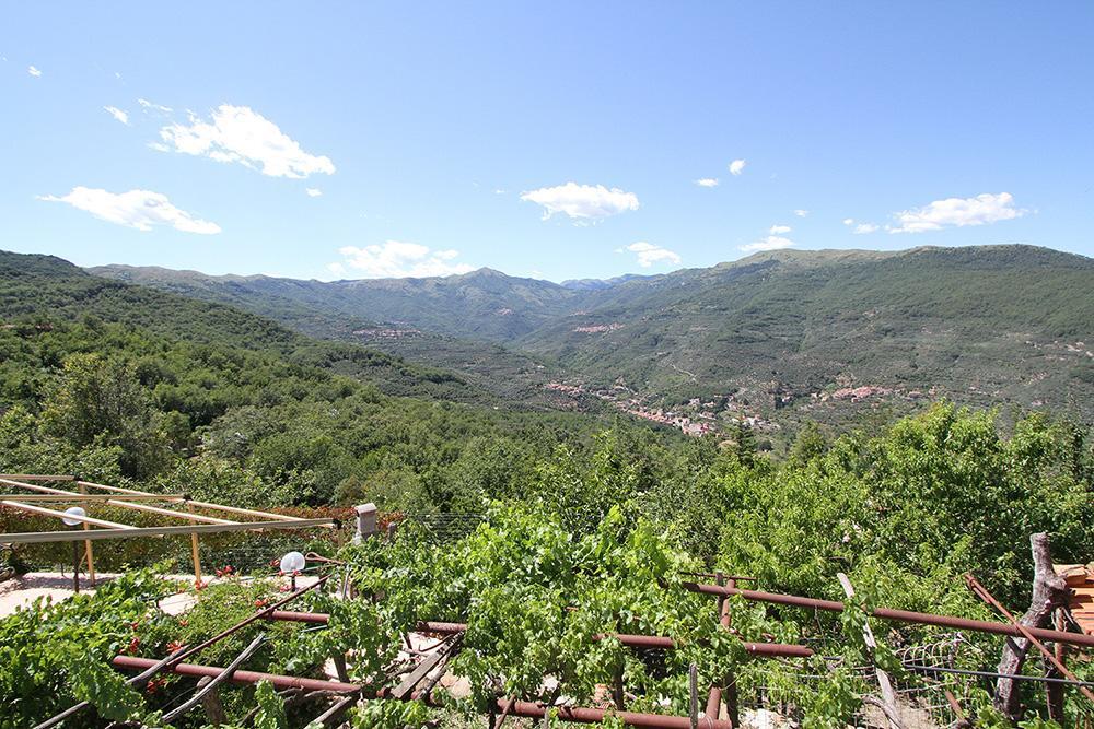 Agriturismo Nonni Devia Lucinasco エクステリア 写真