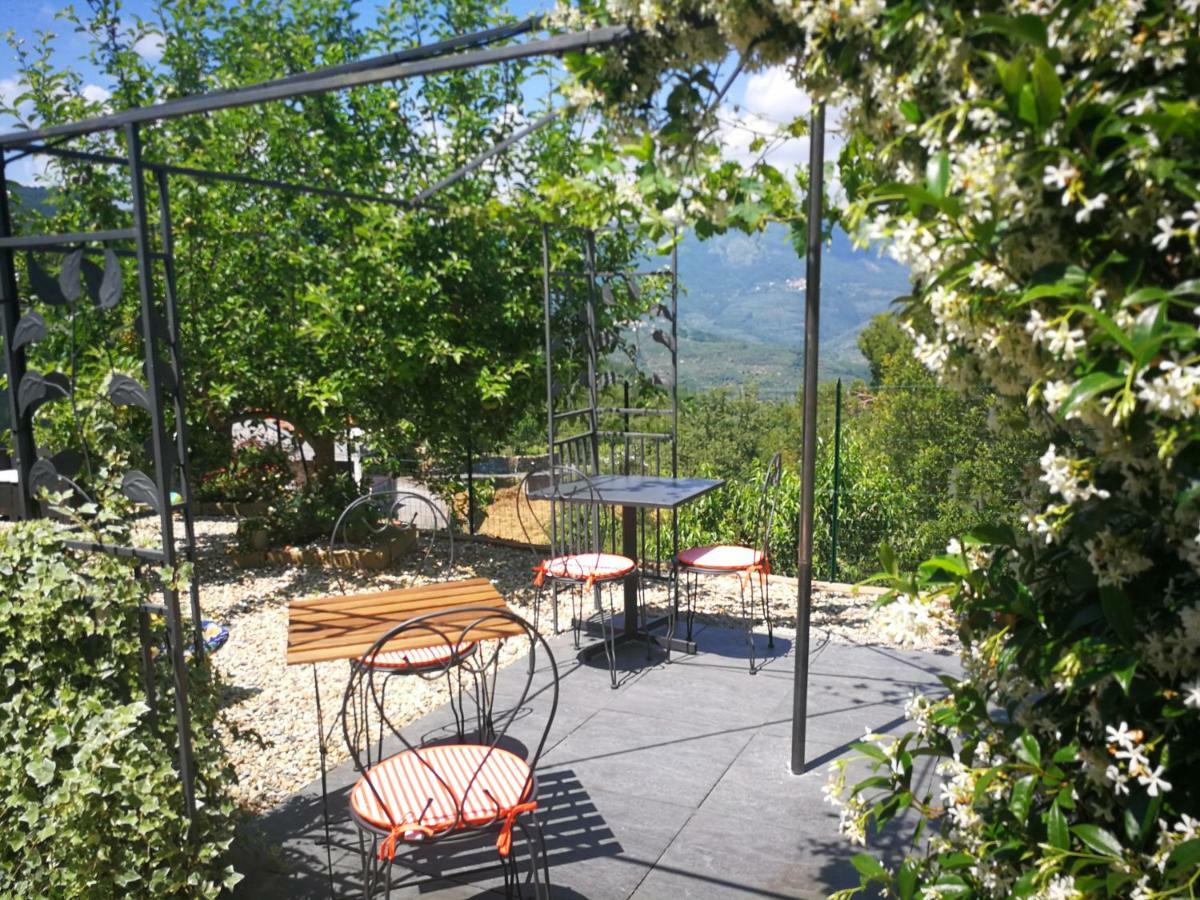 Agriturismo Nonni Devia Lucinasco エクステリア 写真